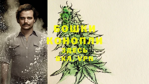 винт Алексин